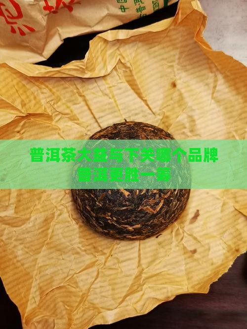 生普洱大益和下关哪个好