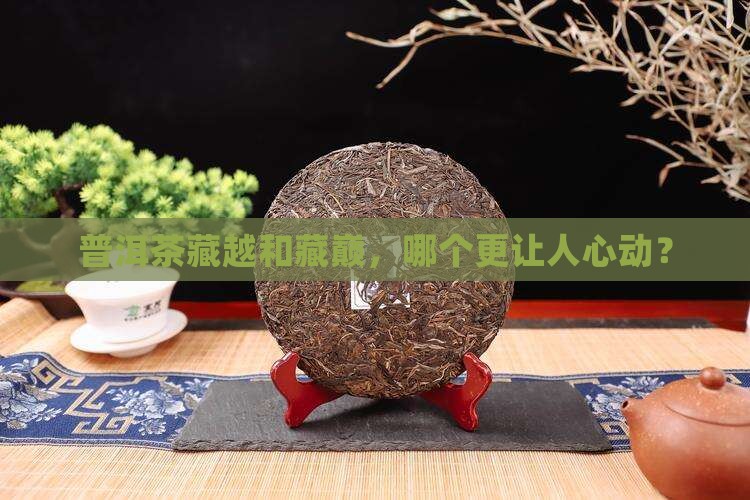 普洱茶藏越和藏巅