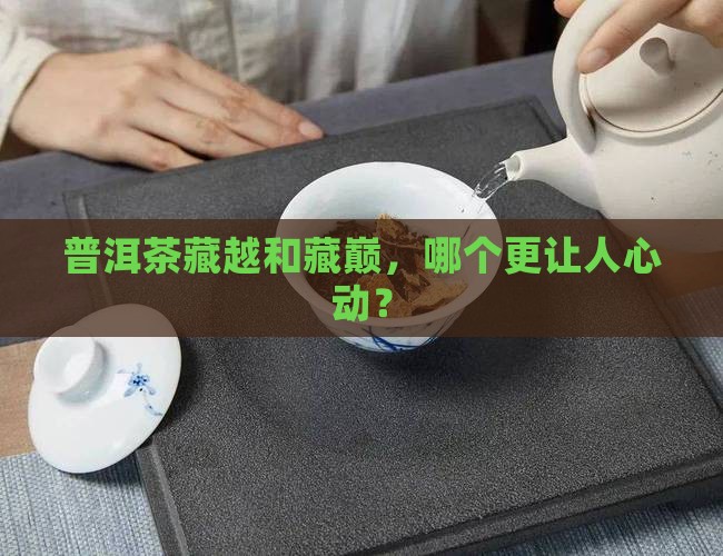 普洱茶藏越和藏巅