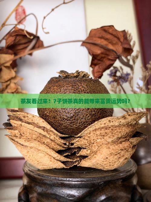 云南丽江普洱茶富贵七子童