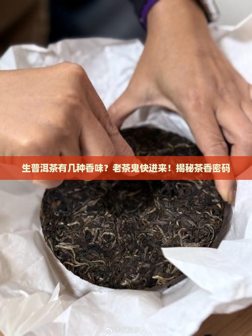 生普洱茶有几种香味