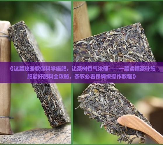 茶叶施肥用什么肥料比较好