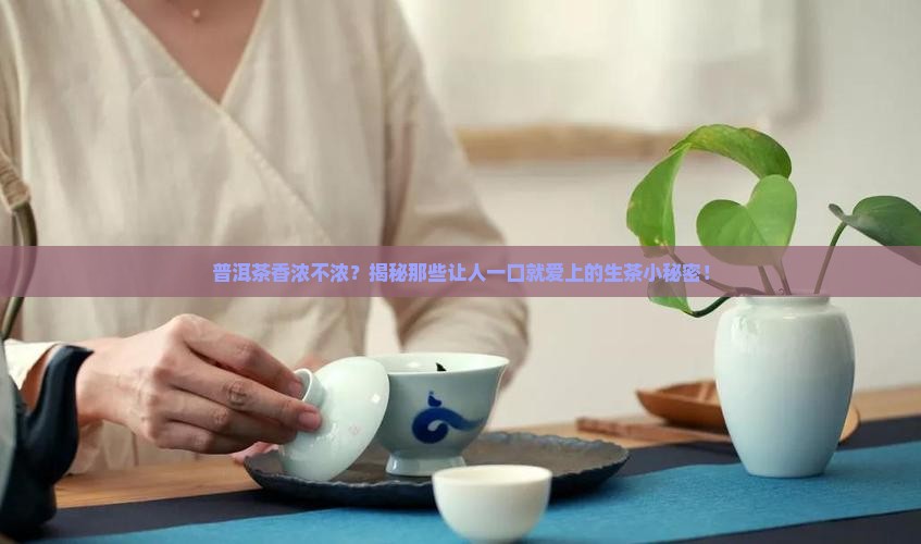 普洱好喝吗好喝的普洱生茶推荐