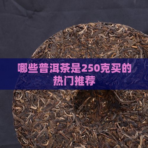 哪些普洱茶是250克买的