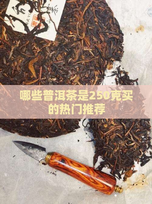 哪些普洱茶是250克买的