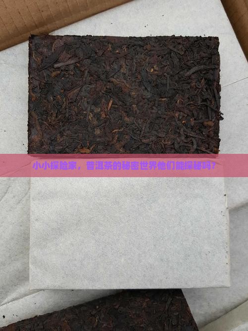13小孩子可以喝普洱茶吗