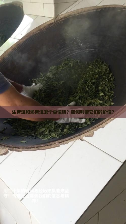 生普洱和熟普洱哪个值钱