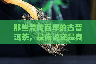 那些清末古普洱茶是真的吗