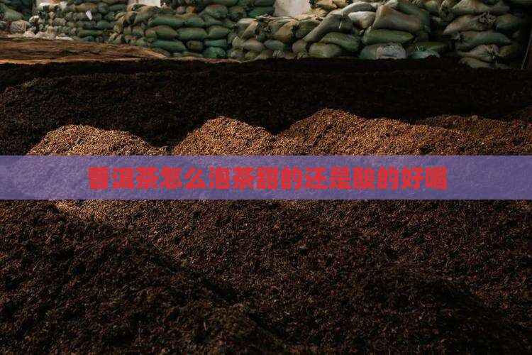 普洱茶怎么泡茶甜的还是酸的