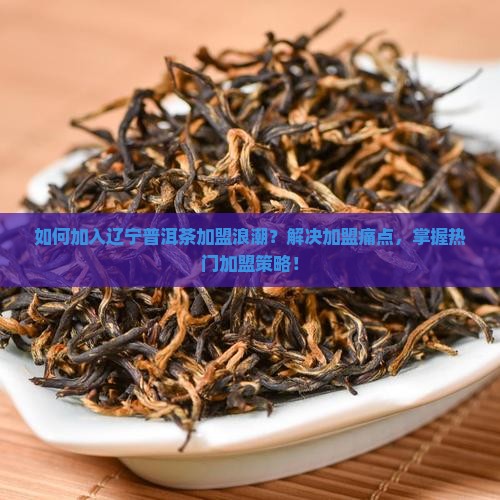 辽宁普洱茶如何加盟的