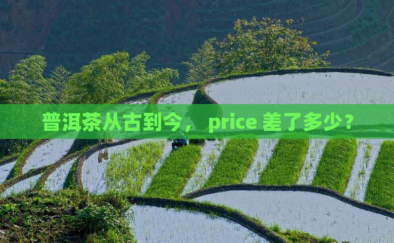 普洱茶前世与今生价格差多少