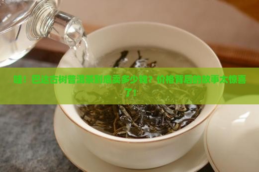 巴达古树普洱茶价格