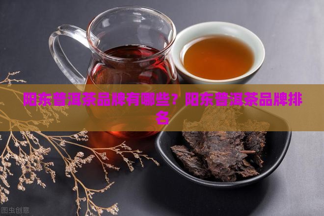 阳东普洱茶品牌