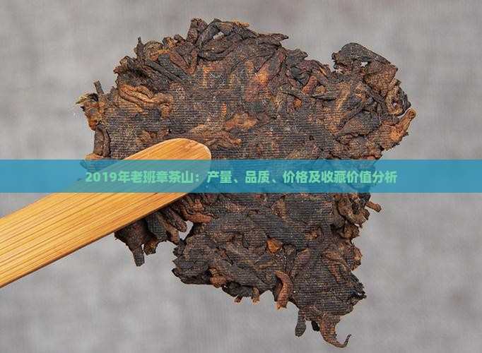 2019年老班章茶山