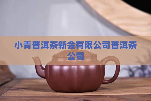 小青桔普洱茶公司