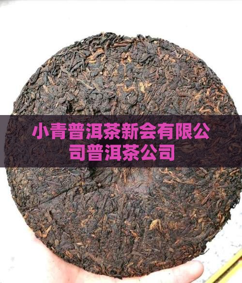 小青桔普洱茶公司