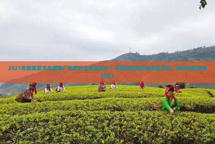 2021新茶景洪丰源茶厂茶价格