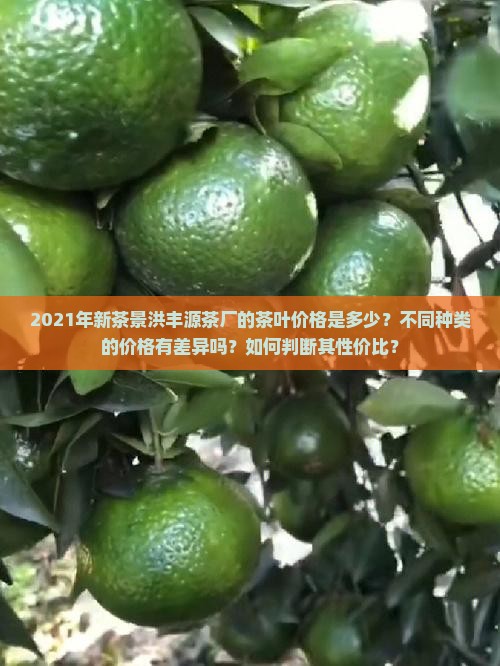 2021新茶景洪丰源茶厂茶价格