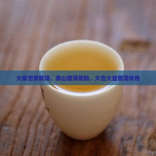 大象吉山普洱茶