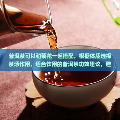 普洱茶可以和菊花