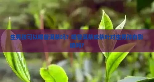 生男孩可以喝普洱茶吗