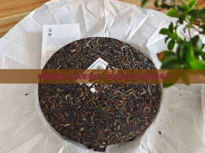 普洱茶的正山冰岛