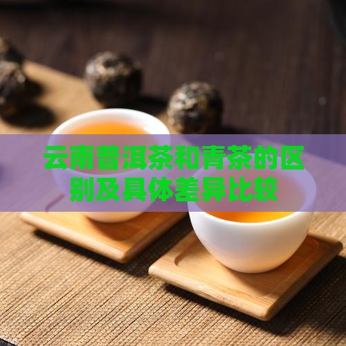 云南普洱茶和青茶的区别