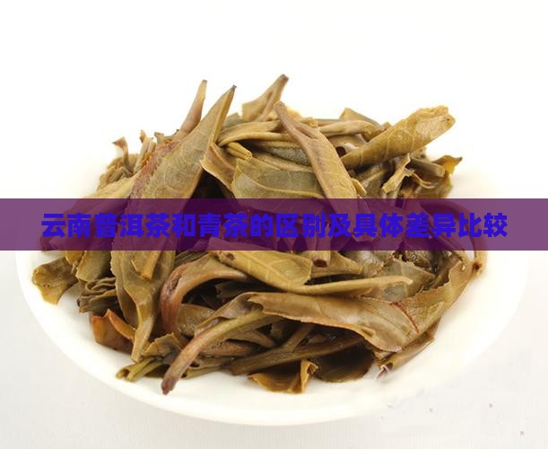 云南普洱茶和青茶的区别
