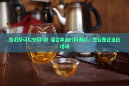普洱茶有茶泡吗能喝吗