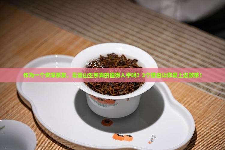 无量山生茶怎么样