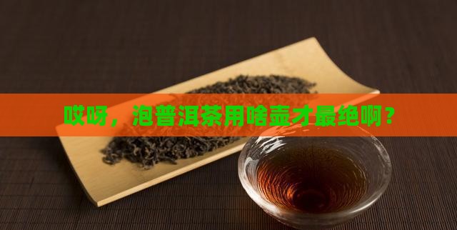 最适合泡普洱茶的壶型是