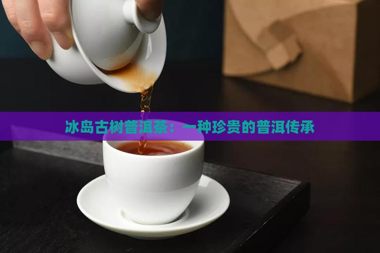 冰岛大叶种古树茶
