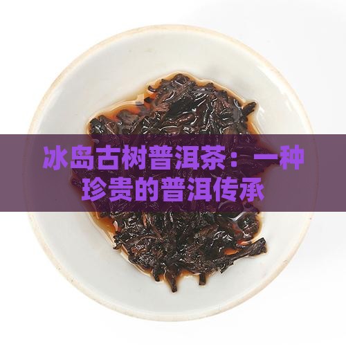 冰岛大叶种古树茶