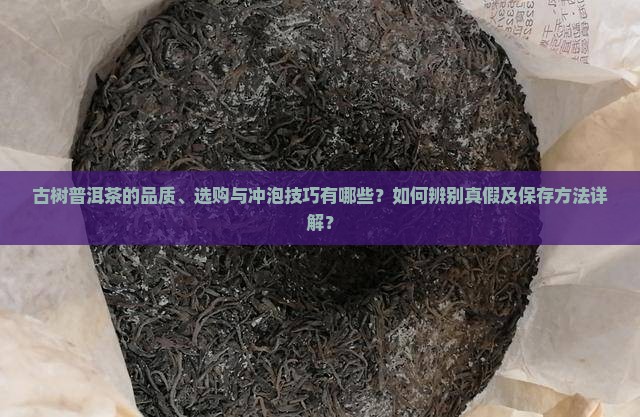 古树普洱茶如何