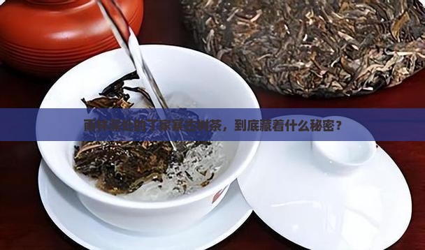 雨林丁家寨古树茶特点