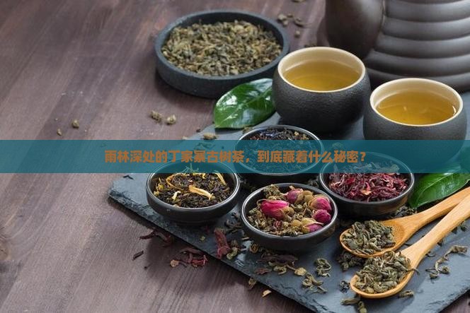 雨林丁家寨古树茶特点