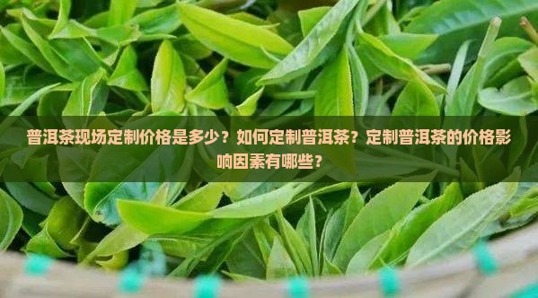 普洱茶现场定制价格