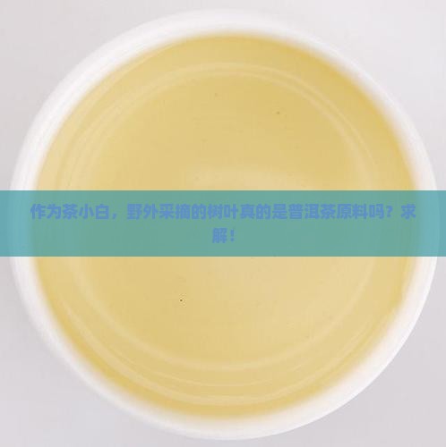 普洱茶是什么茶制成的