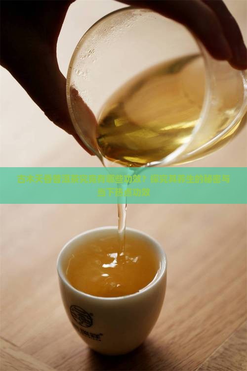 古木天香普洱茶的功效