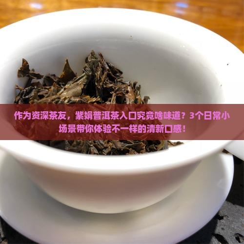 紫娟普洱茶的口感描述