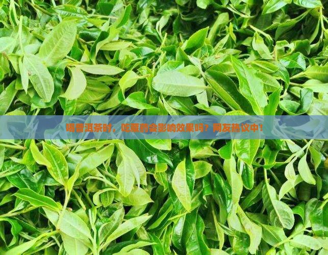 吃藏药可以喝普洱茶吗