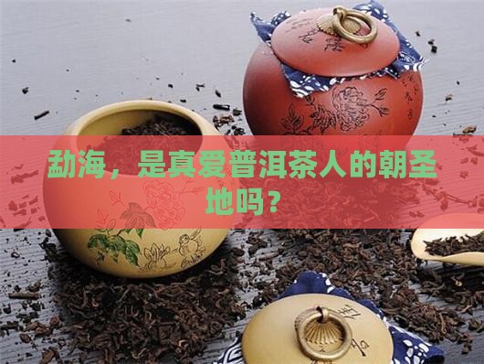 勐海中国普洱茶第一县