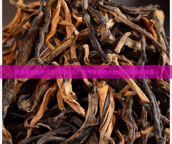 普洱茶在北方存放几年好