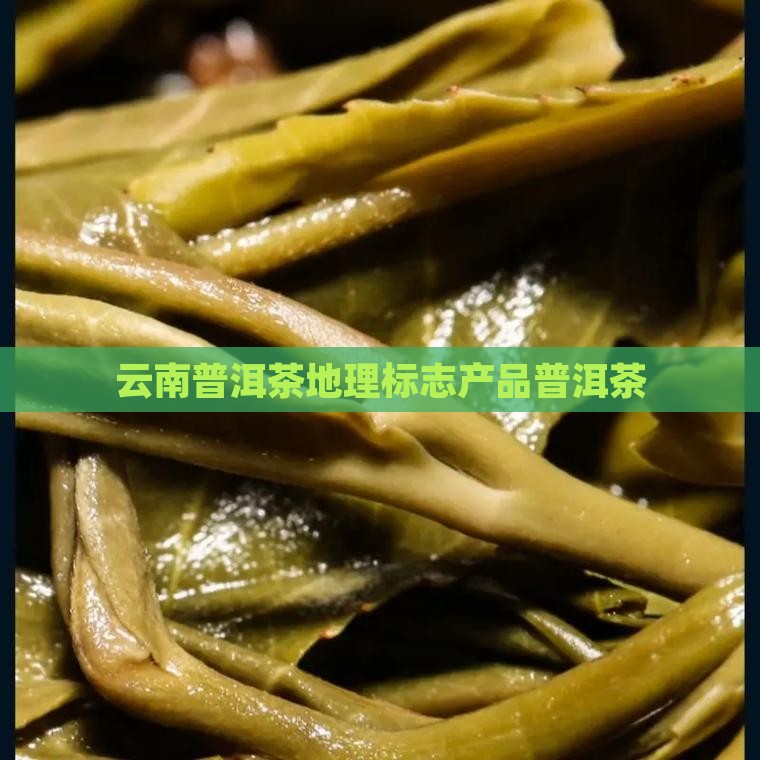 云南迪庆普洱茶