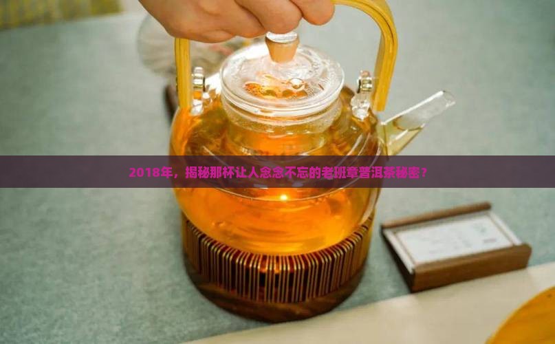 2018普洱茶老班章