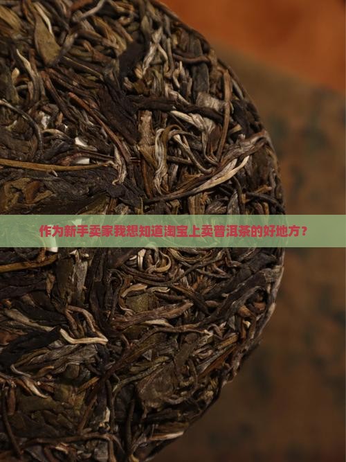 淘宝去哪卖普洱茶好