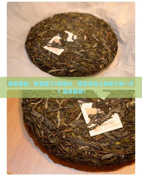各种茶叶的市场价格