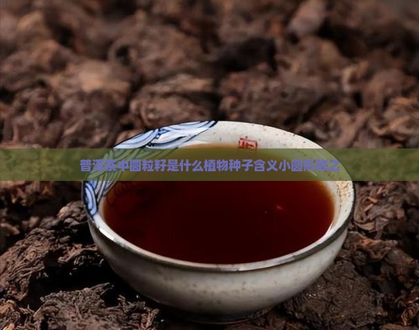 普洱茶中圆粒籽是什么