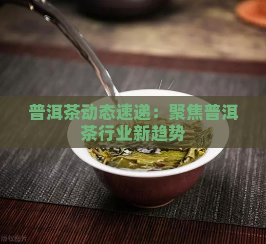 普洱茶新闻周报