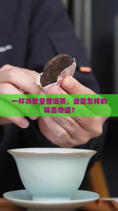 鸿歆堂普洱茶大茶